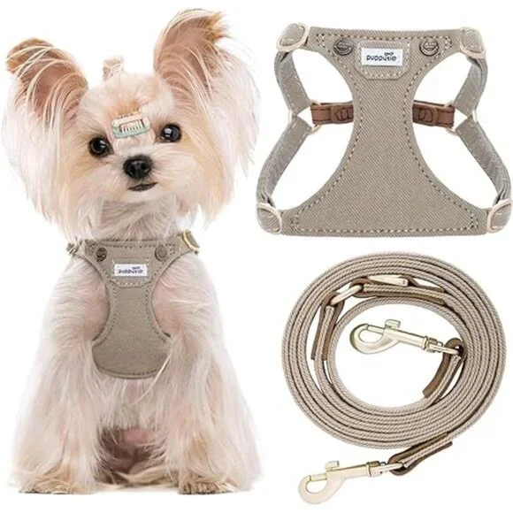 Dog Leash Xs Dog Collar ThunderLeash No-Pull Dog Leash – ThunderShirt